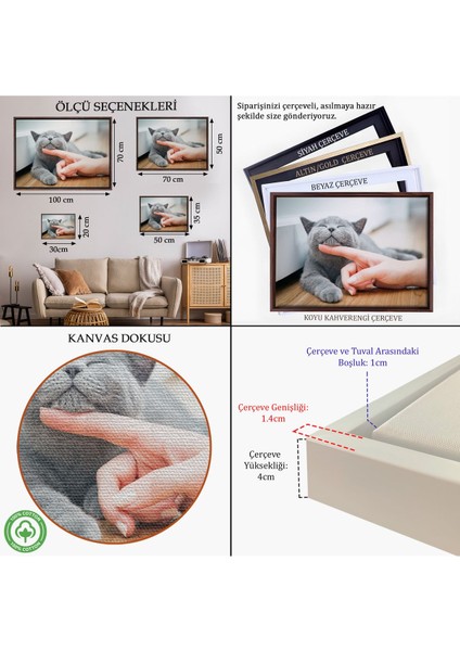 Altın Çerçeveli Sevimli Kedi Dekoratif Kanvas Tablo indirimleri