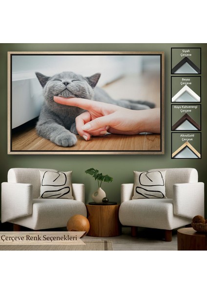 Altın Çerçeveli Sevimli Kedi Dekoratif Kanvas Tablo