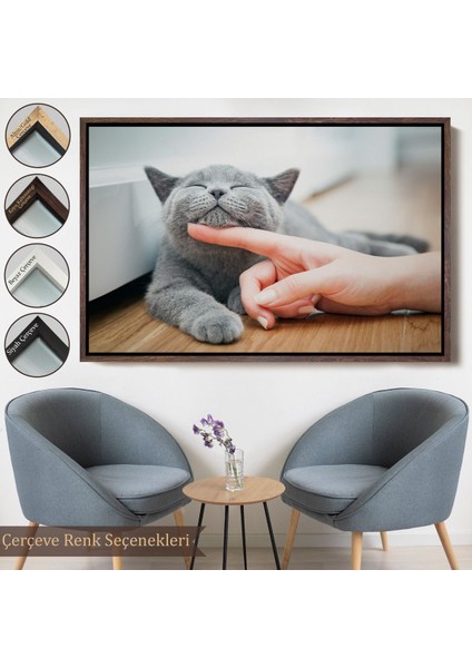 Altın Çerçeveli Sevimli Kedi Dekoratif Kanvas Tablo