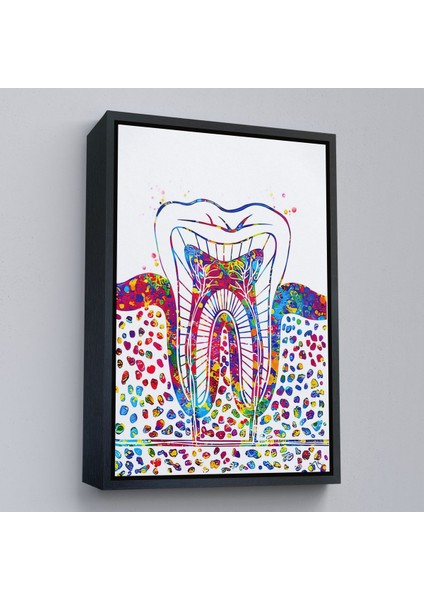 Siyah Çerçeveli Renkli Diş, Diş Hekimi Duvar Tablosu