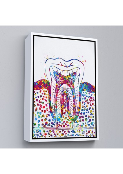 Siyah Çerçeveli Renkli Diş, Diş Hekimi Duvar Tablosu fiyatları