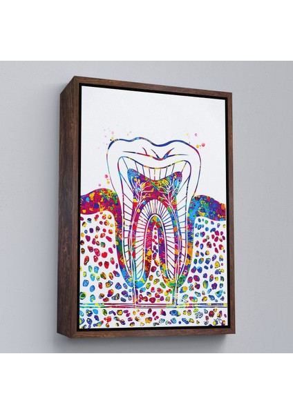 Siyah Çerçeveli Renkli Diş, Diş Hekimi Duvar Tablosu modelleri