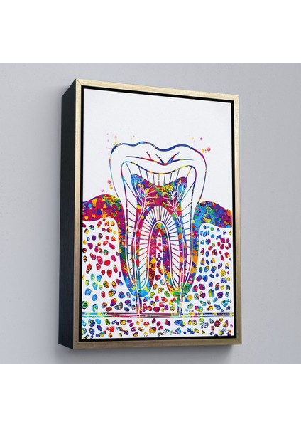 Siyah Çerçeveli Renkli Diş, Diş Hekimi Duvar Tablosu fırsatları