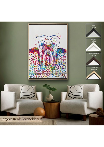 Siyah Çerçeveli Renkli Diş, Diş Hekimi Duvar Tablosu