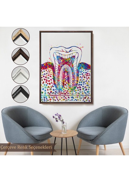 Siyah Çerçeveli Renkli Diş, Diş Hekimi Duvar Tablosu