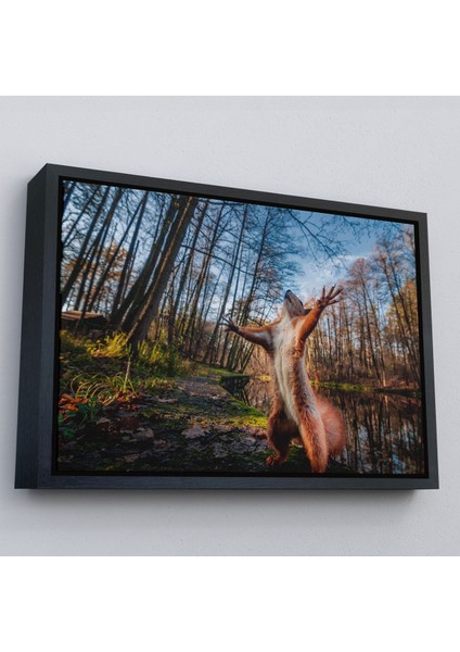 Siyah Çerçeveli Sincap Dekoratif Kanvas Tablo