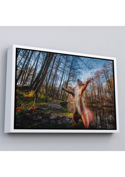 Siyah Çerçeveli Sincap Dekoratif Kanvas Tablo fiyatları