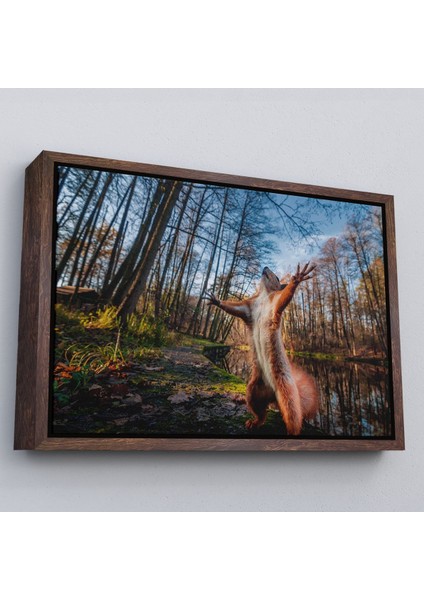 Siyah Çerçeveli Sincap Dekoratif Kanvas Tablo modelleri