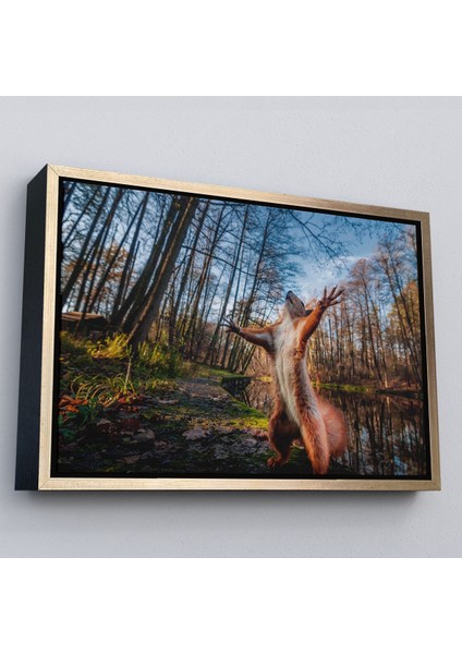 Siyah Çerçeveli Sincap Dekoratif Kanvas Tablo fırsatları