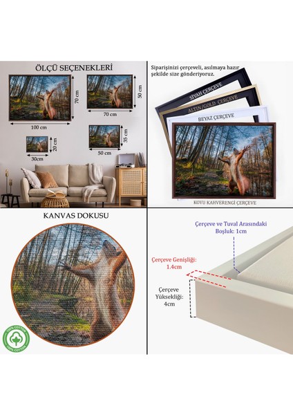 Siyah Çerçeveli Sincap Dekoratif Kanvas Tablo indirimleri