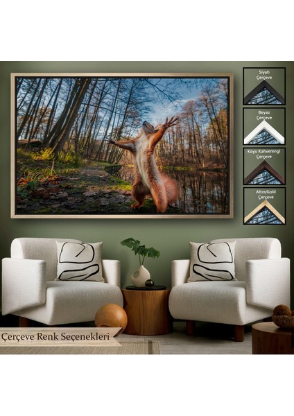 Siyah Çerçeveli Sincap Dekoratif Kanvas Tablo