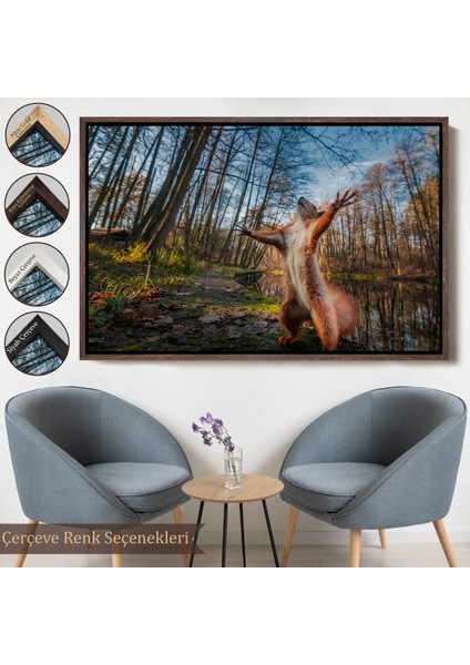 Siyah Çerçeveli Sincap Dekoratif Kanvas Tablo