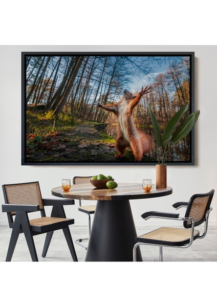 Siyah Çerçeveli Sincap Dekoratif Kanvas Tablo