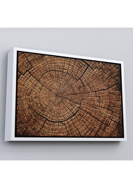 Beyaz Çerçeveli Ağaç Kütük Desenli Kanvas Tablo