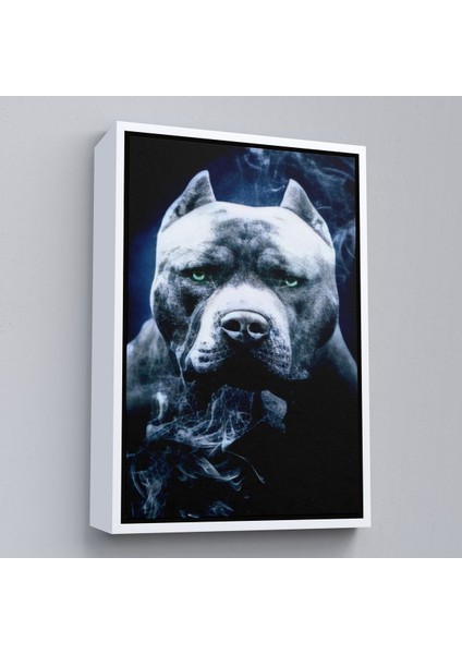 Beyaz Çerçeveli Pit Bull Yeşil Gözlü Amerikan Bully Köpek Kanvas Tablo