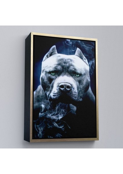 Beyaz Çerçeveli Pit Bull Yeşil Gözlü Amerikan Bully Köpek Kanvas Tablo modelleri