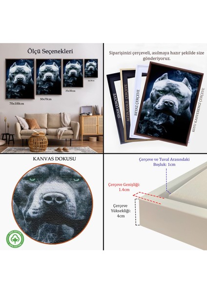 Beyaz Çerçeveli Pit Bull Yeşil Gözlü Amerikan Bully Köpek Kanvas Tablo indirimleri