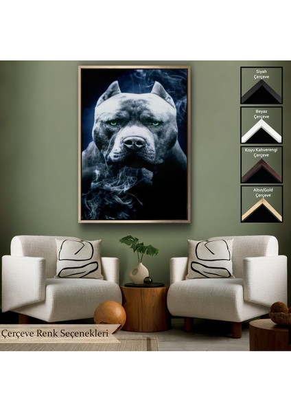 Beyaz Çerçeveli Pit Bull Yeşil Gözlü Amerikan Bully Köpek Kanvas Tablo