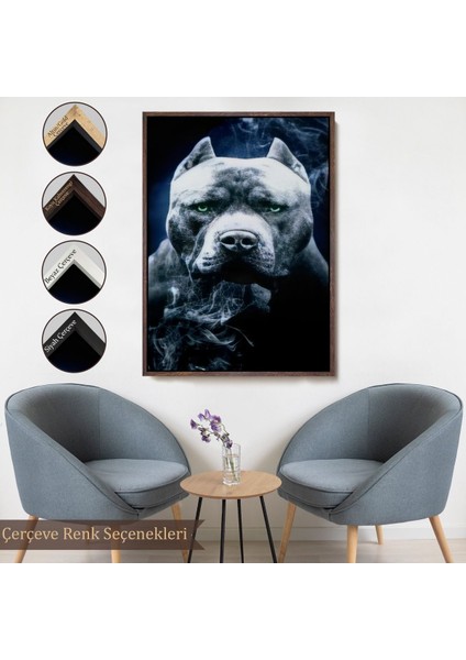 Beyaz Çerçeveli Pit Bull Yeşil Gözlü Amerikan Bully Köpek Kanvas Tablo
