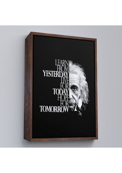 Beyaz Çerçeveli Dünden Öğrenin Bugünü Yaşayın Yarını Umut Edin Kanvas Tablo, Albert Einstein fiyatları