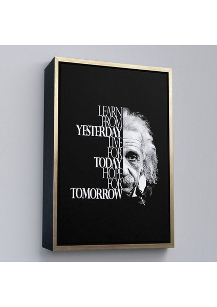 Beyaz Çerçeveli Dünden Öğrenin Bugünü Yaşayın Yarını Umut Edin Kanvas Tablo, Albert Einstein modelleri
