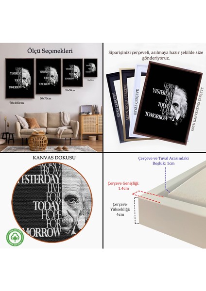 Beyaz Çerçeveli Dünden Öğrenin Bugünü Yaşayın Yarını Umut Edin Kanvas Tablo, Albert Einstein indirimleri