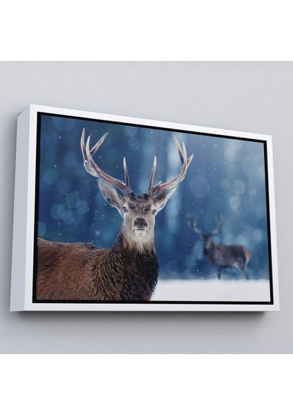 Beyaz Çerçeveli Geyik Dekoratif Kanvas Tablo
