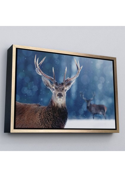 Beyaz Çerçeveli Geyik Dekoratif Kanvas Tablo modelleri
