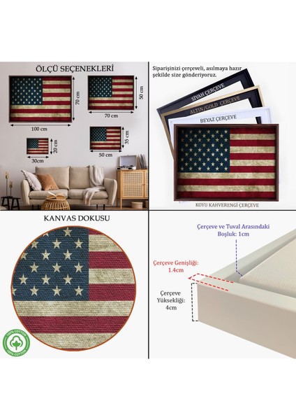 Altın Çerçeveli Amerika Birleşik Devletleri Bayrağı Rustik Kanvas Tablo indirimleri