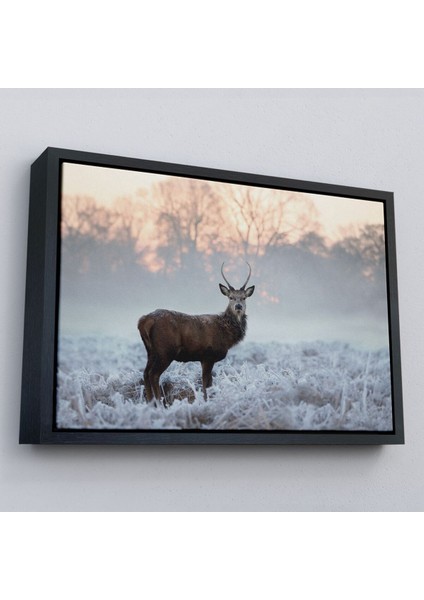 Çerçeveli Geyik Dekoratif Kanvas TABLO-1166 modelleri