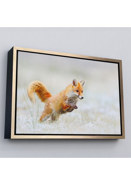 Altın Çerçeveli Tilki Dekoratif Kanvas Tablo
