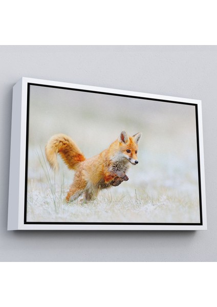 Altın Çerçeveli Tilki Dekoratif Kanvas Tablo modelleri