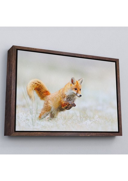 Altın Çerçeveli Tilki Dekoratif Kanvas Tablo fırsatları