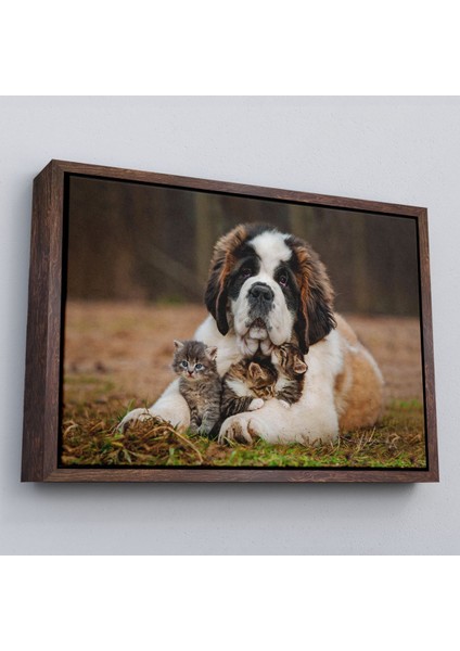 Çerçeveli St. Bernard Köpek ve Yavru Kediler Dekoratif Kanvas TABLO-1124