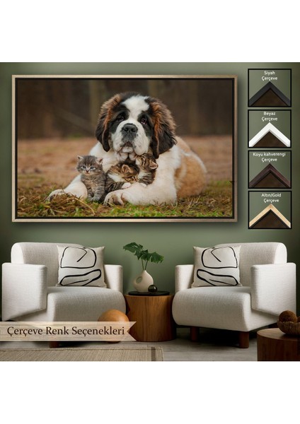 Çerçeveli St. Bernard Köpek ve Yavru Kediler Dekoratif Kanvas TABLO-1124