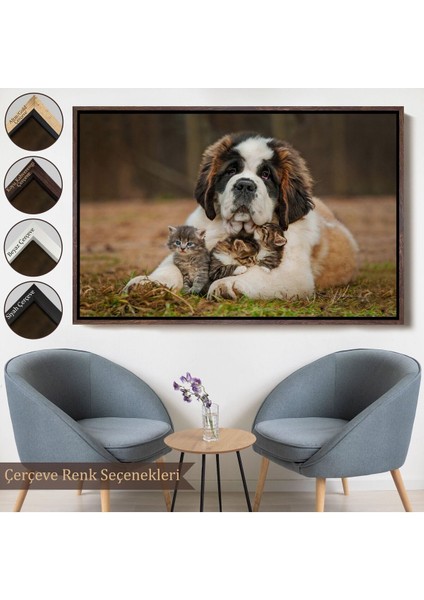 Çerçeveli St. Bernard Köpek ve Yavru Kediler Dekoratif Kanvas TABLO-1124
