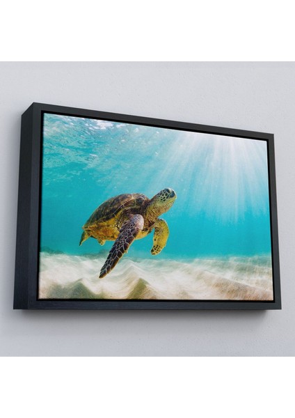Çerçeveli Caretta Caretta Dekoratif Kanvas TABLO-1174