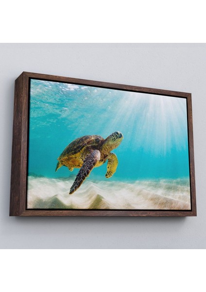 Çerçeveli Caretta Caretta Dekoratif Kanvas TABLO-1174 fiyatları