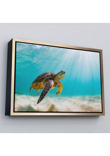 Çerçeveli Caretta Caretta Dekoratif Kanvas TABLO-1174 modelleri