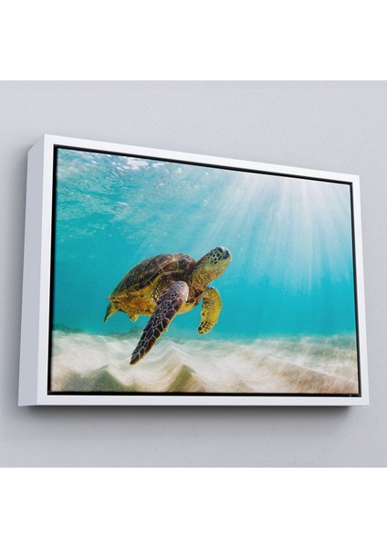 Çerçeveli Caretta Caretta Dekoratif Kanvas TABLO-1174 fırsatları
