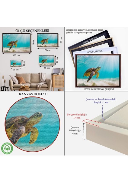 Çerçeveli Caretta Caretta Dekoratif Kanvas TABLO-1174 indirimleri