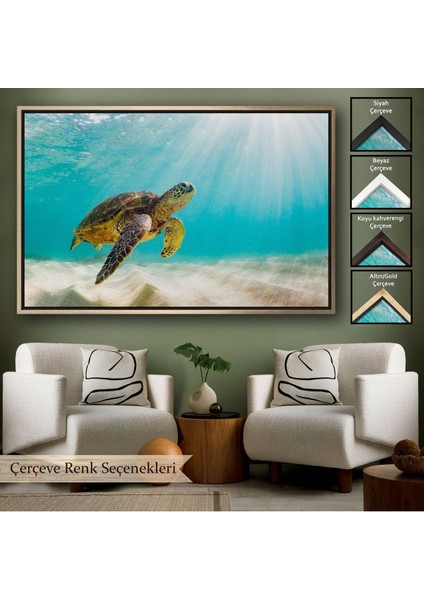 Çerçeveli Caretta Caretta Dekoratif Kanvas TABLO-1174