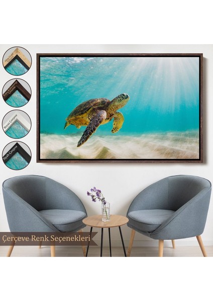 Çerçeveli Caretta Caretta Dekoratif Kanvas TABLO-1174