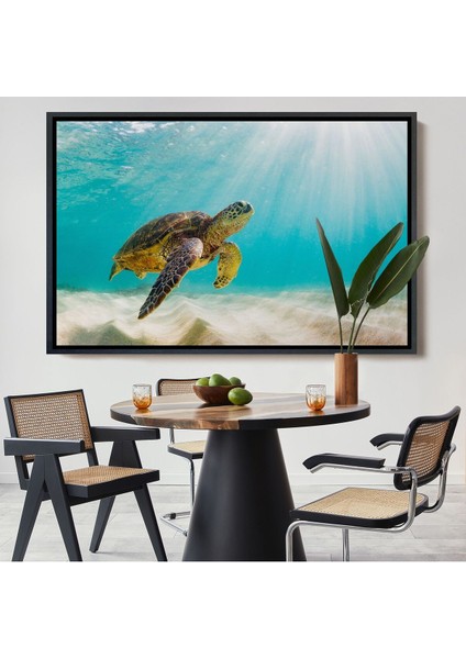 Çerçeveli Caretta Caretta Dekoratif Kanvas TABLO-1174