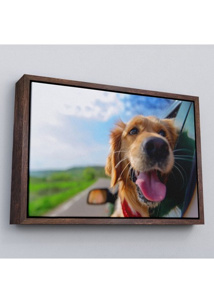 Çerçeveli Köpek Dekoratif Kanvas TABLO-1130 fiyatları