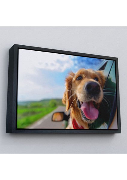 Çerçeveli Köpek Dekoratif Kanvas TABLO-1130 fırsatları