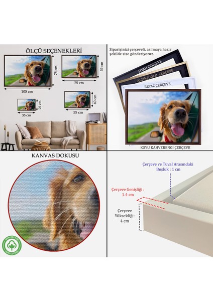 Çerçeveli Köpek Dekoratif Kanvas TABLO-1130 indirimleri
