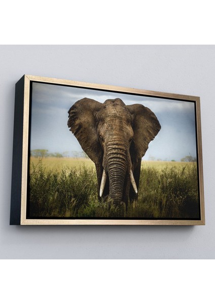 Çerçeveli Fil Dekoratif Kanvas TABLO-1121