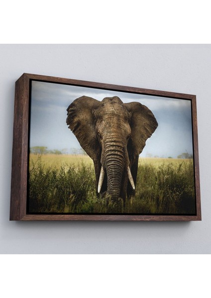 Çerçeveli Fil Dekoratif Kanvas TABLO-1121 fiyatları