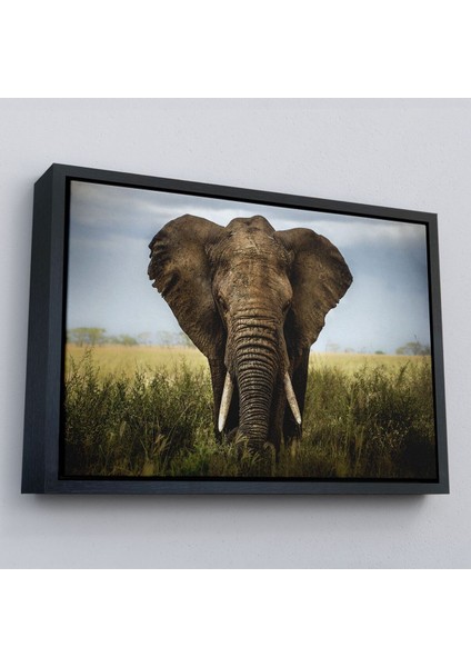 Çerçeveli Fil Dekoratif Kanvas TABLO-1121 modelleri